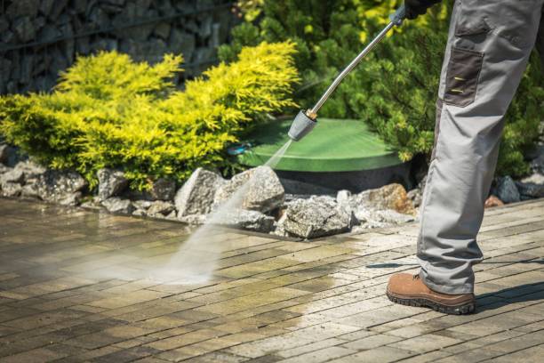 Best Gutter Cleaning  in Addis, LA